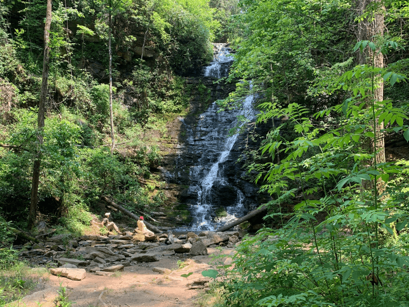 Reedy Branch Falls waterfall